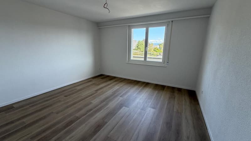 Frisch sanierte 4.5-Zimmer-Attikawohnung an zentraler Lage in Wetzikon (5)
