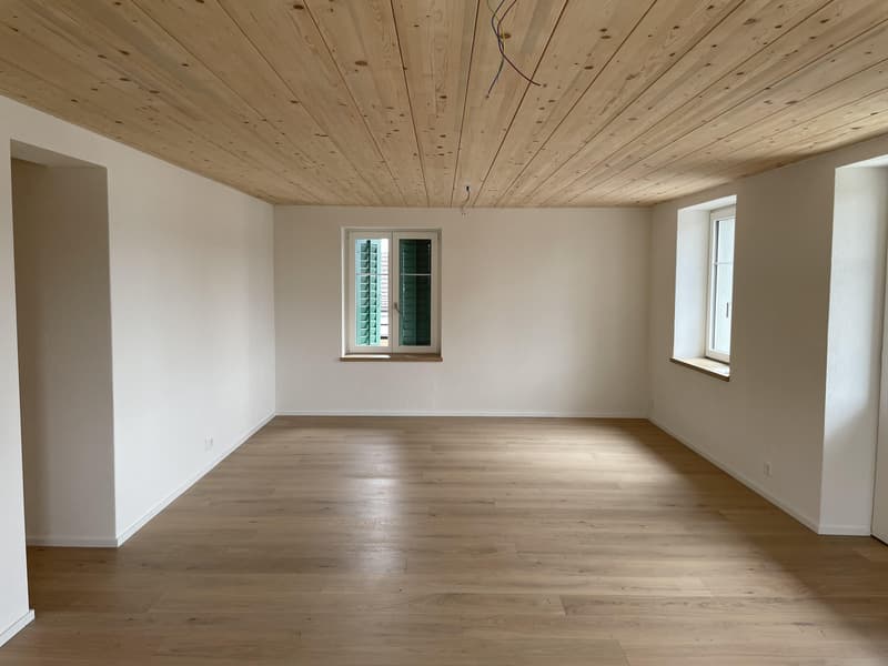 Abitare esclusivo in un appartamento spazioso con ampio balcone - Prima locazione (5)