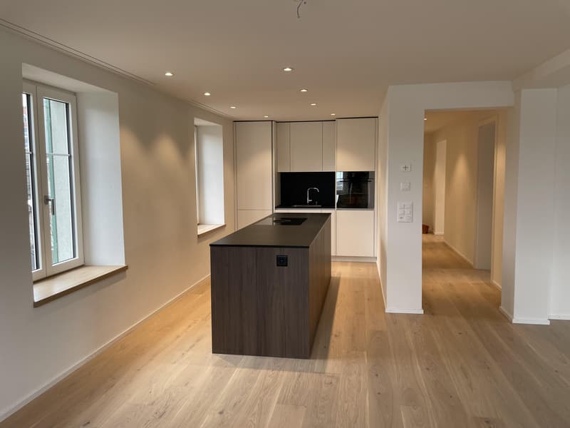 Appartement de rêve 3.5 pièces avec grande terrasse et vue directe sur le lac de Zurich ! (3)