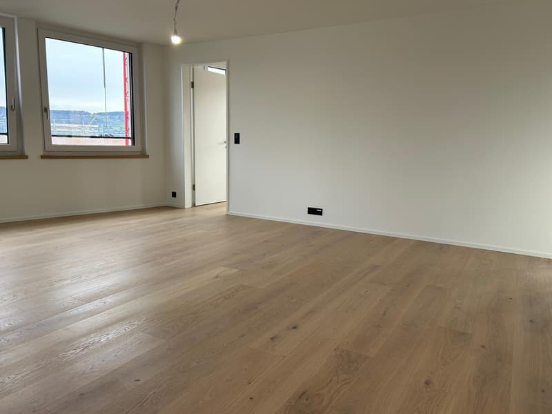 Prêt à être occupé immédiatement - Première location après rénovation (3)