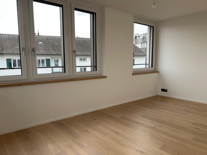 Prêt à être occupé immédiatement - Première location après rénovation (5)