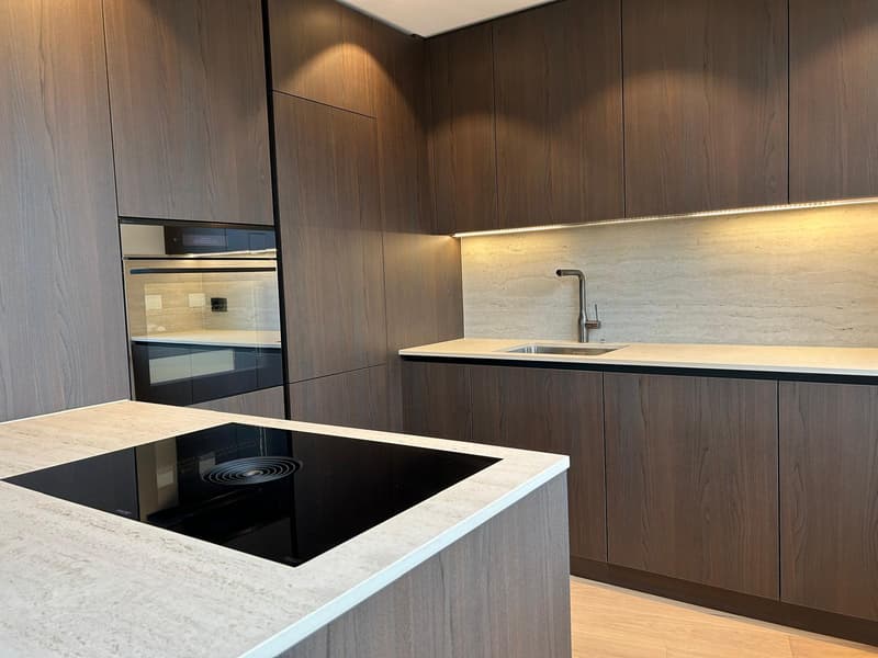 Prêt à être occupé immédiatement - Première location après rénovation (2)