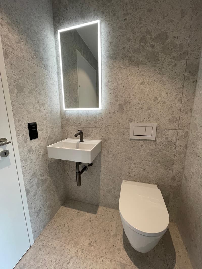 Prêt à être occupé immédiatement - Première location après rénovation (7)