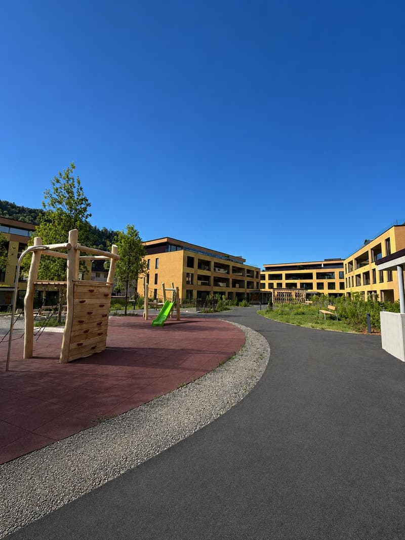 4.5 Room Apartment in Aarburg (2)