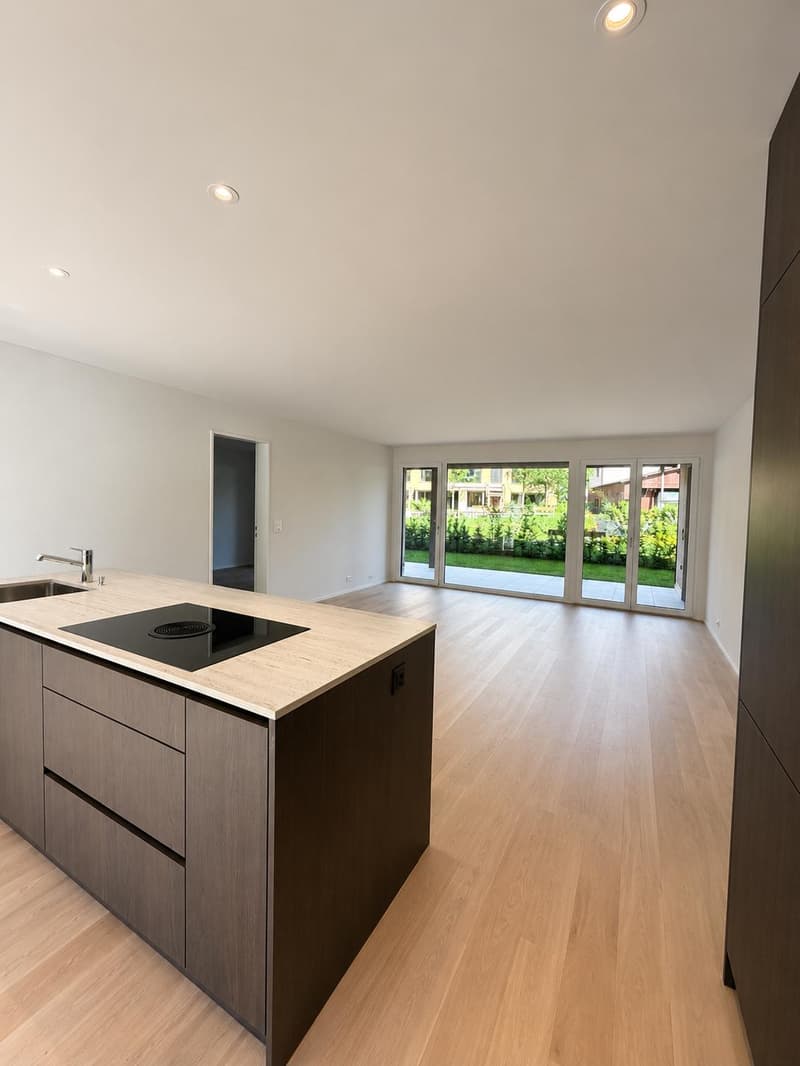 4.5 Room Apartment in Aarburg (4)