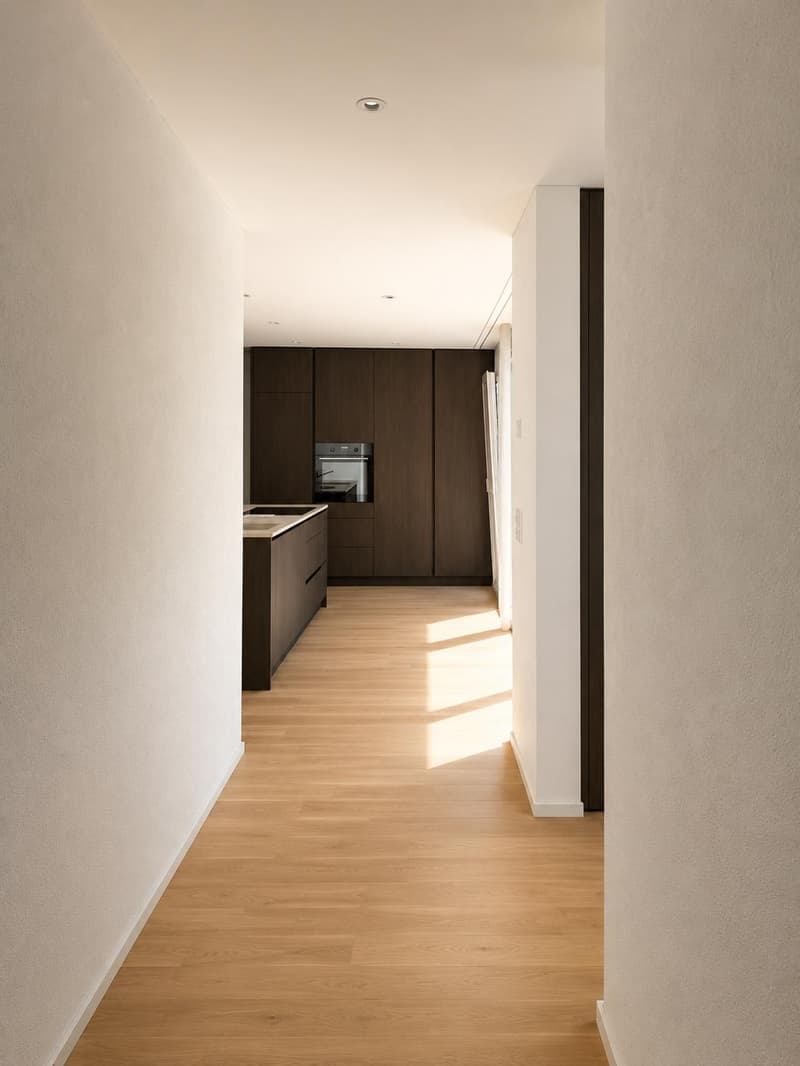 4.5 Room Apartment in Aarburg (3)