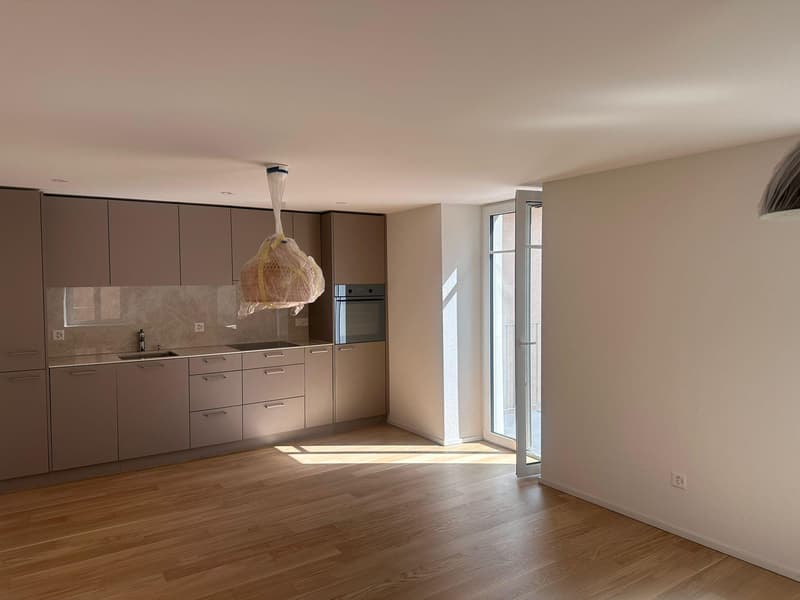Sanierte 3.5-Zimmer-Wohnung in Dietikon zu vermieten! (2)