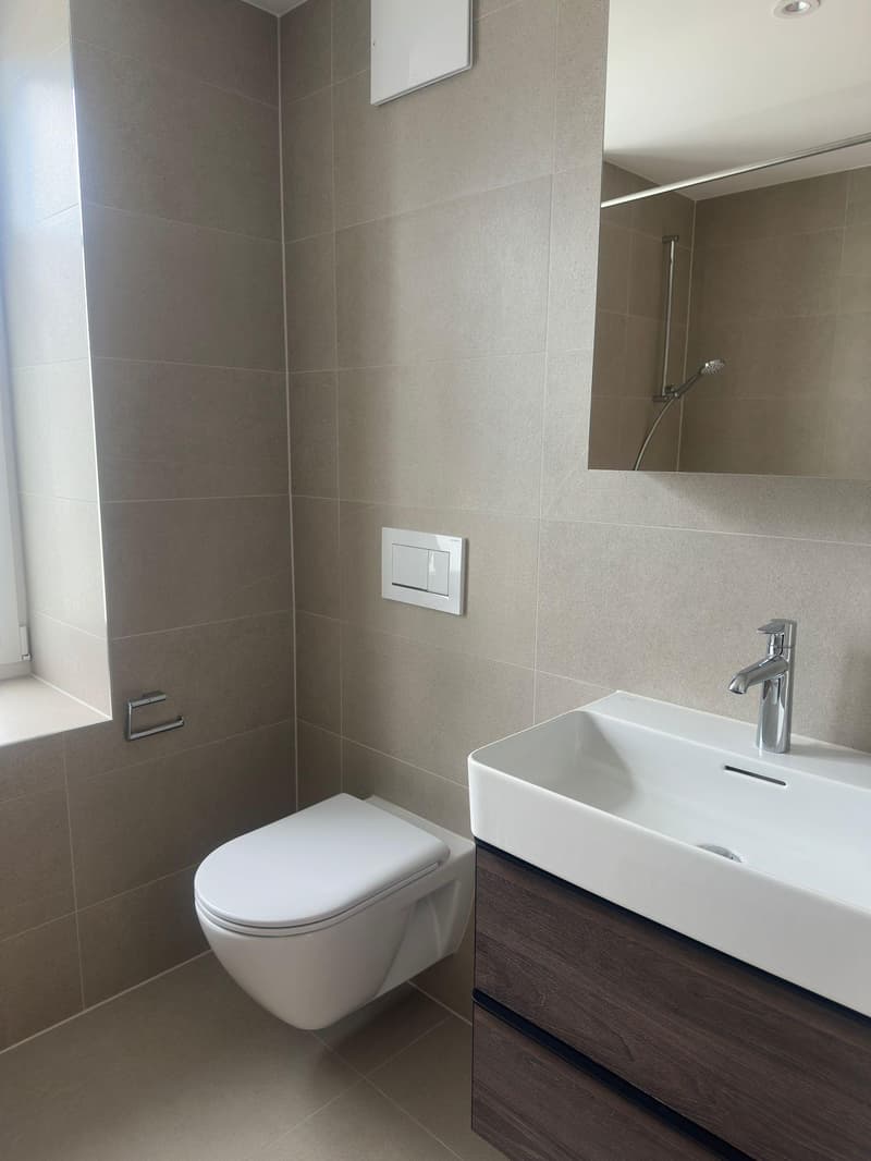 Sanierte 3.5-Zimmer-Wohnung in Dietikon zu vermieten! (3)