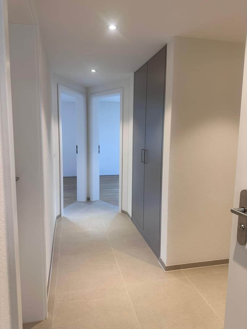 Sanierte 3.5-Zimmer-Wohnung in Dietikon zu vermieten! (5)