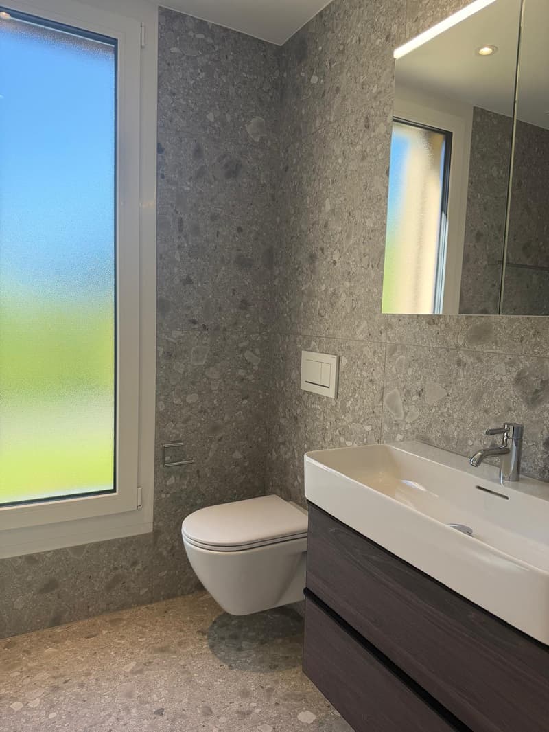 Moderne 3.5-Zimmer-Attikawohnung in Aarburg (6)