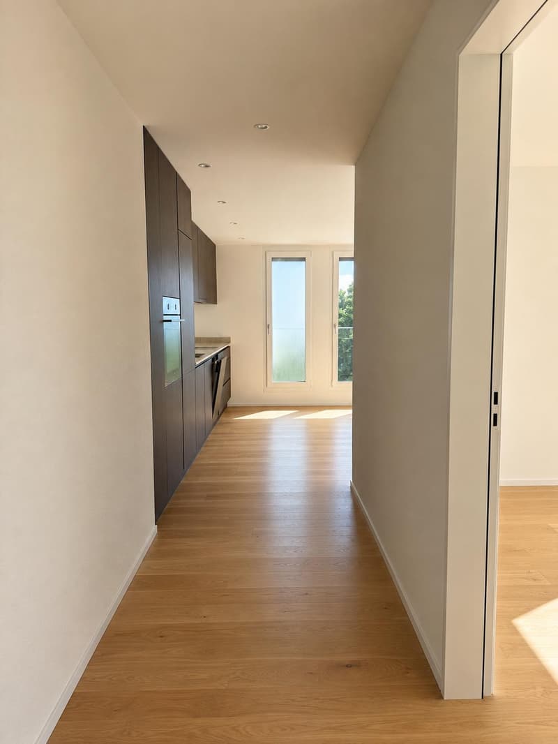 Moderne 3.5-Zimmer-Attikawohnung in Aarburg (2)