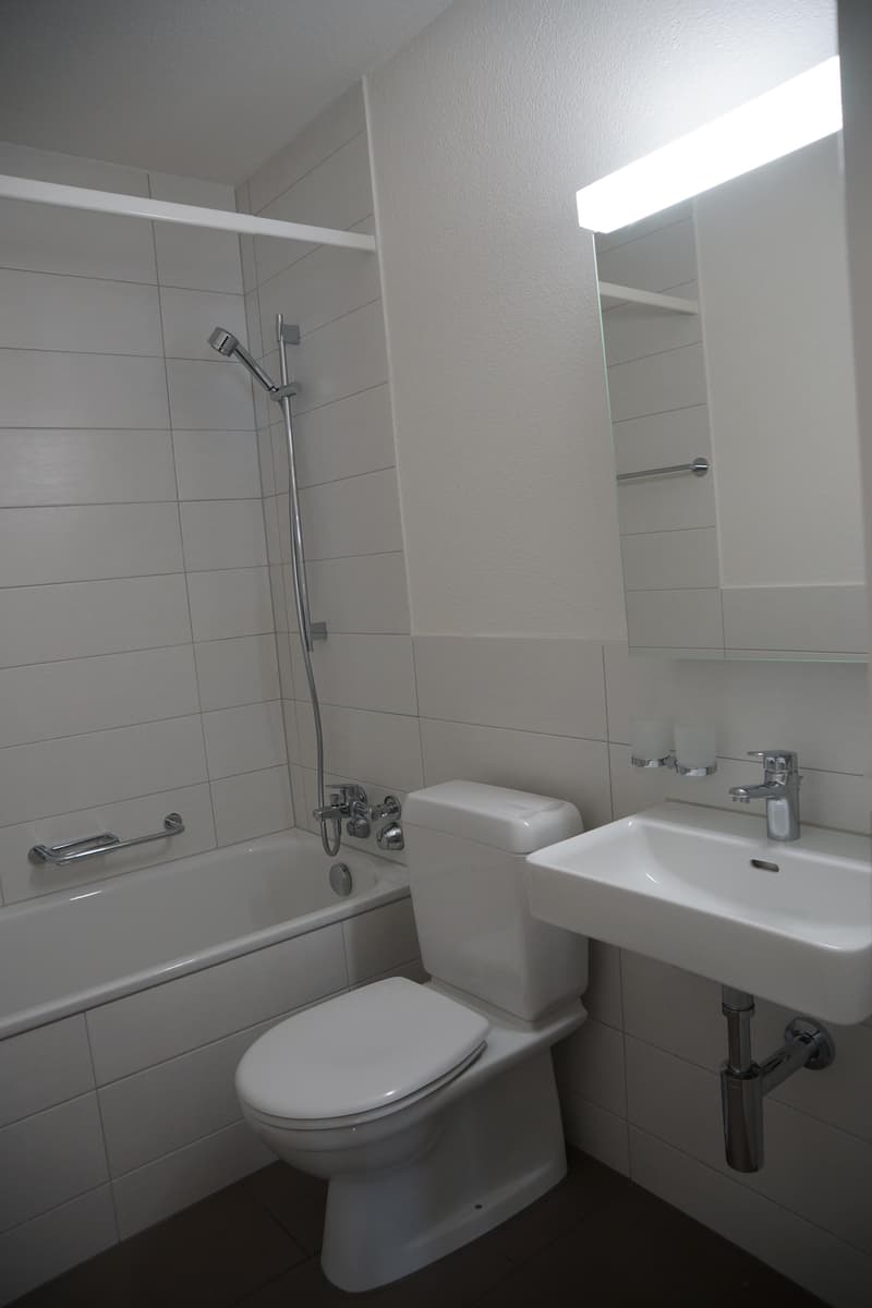 Zentral gelegene 2-Zimmer-Wohnung im Kreis 4 zu vermieten! (5)