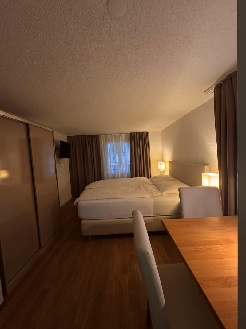 Gemütliche 1-Zimmer-Wohnung in Küssnacht am Rigi möbliert & zentral (2)