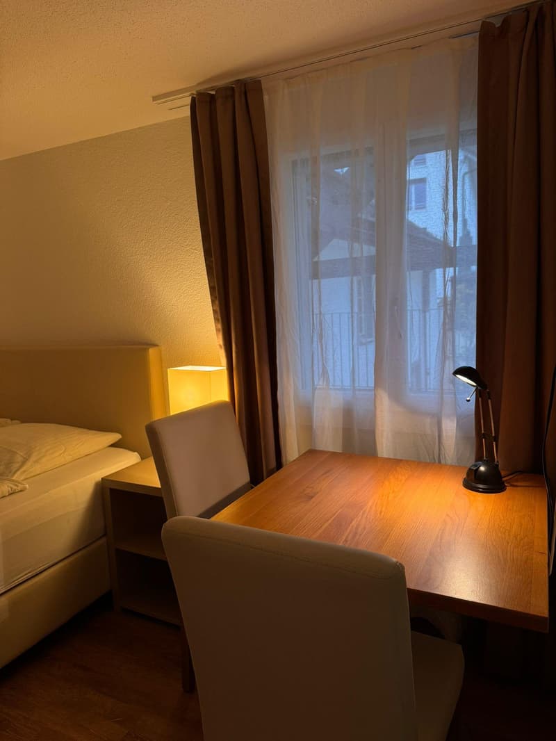 Gemütliche 1-Zimmer-Wohnung in Küssnacht am Rigi möbliert & zentral (4)
