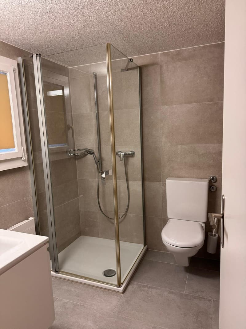 Gemütliche 1-Zimmer-Wohnung in Küssnacht am Rigi möbliert & zentral (5)
