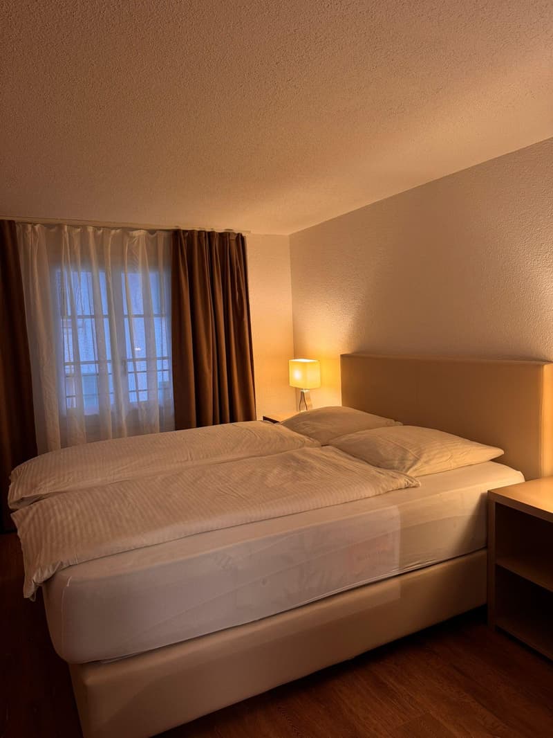 Gemütliche 1-Zimmer-Wohnung in Küssnacht am Rigi möbliert & zentral (3)