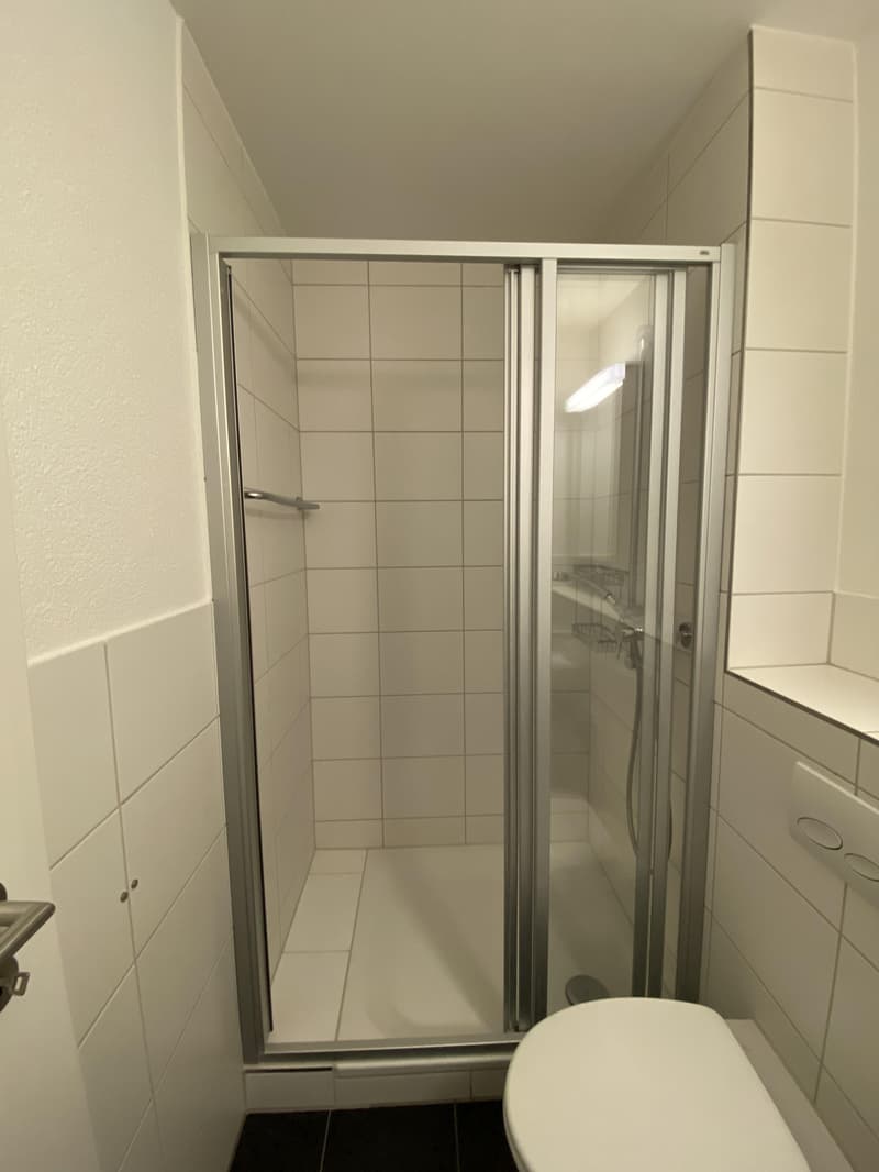 Charmante Single-Wohnung im Herzen von Zürich Kreis 4 Perfekt für Stadtliebhaber! (5)