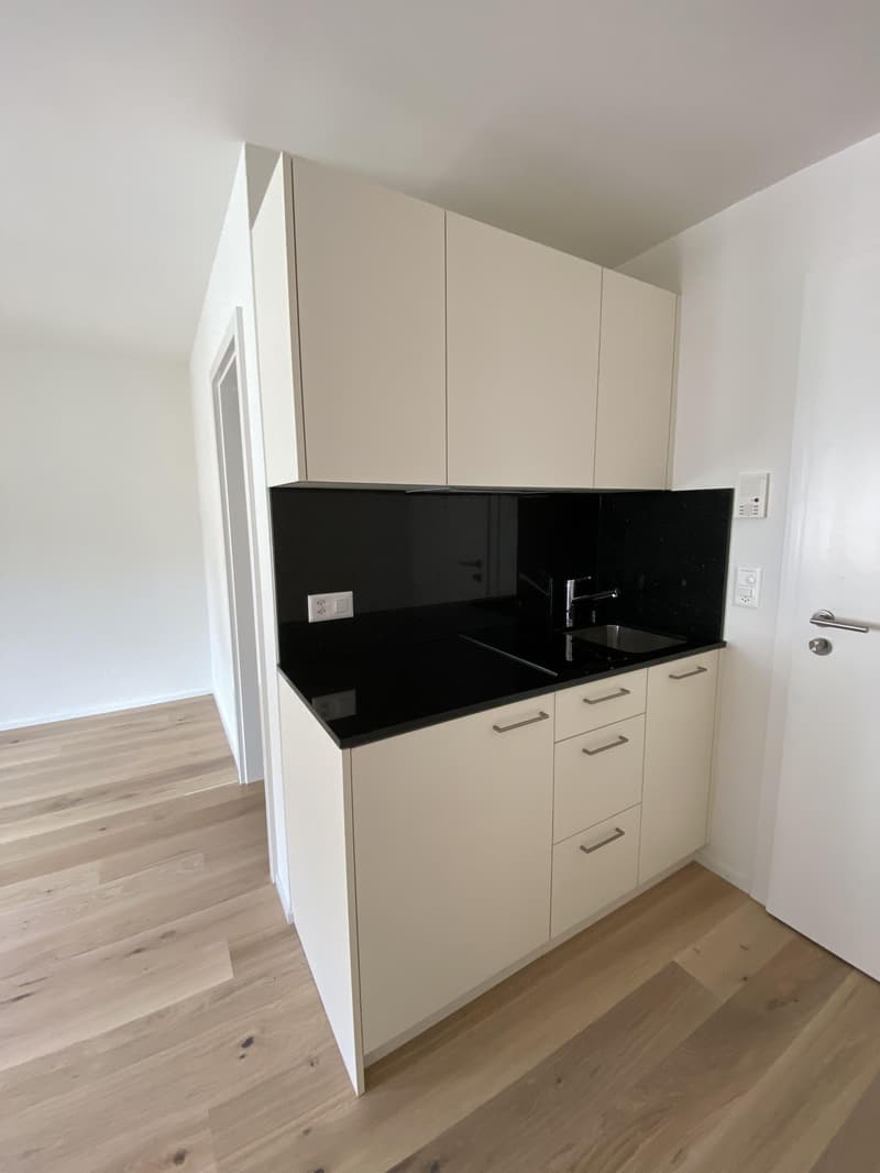 Charmante Single-Wohnung im Herzen von Zürich Kreis 4 Perfekt für Stadtliebhaber! (3)