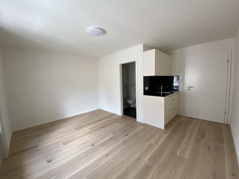 Charmante Single-Wohnung im Herzen von Zürich Kreis 4 Perfekt für Stadtliebhaber! (2)