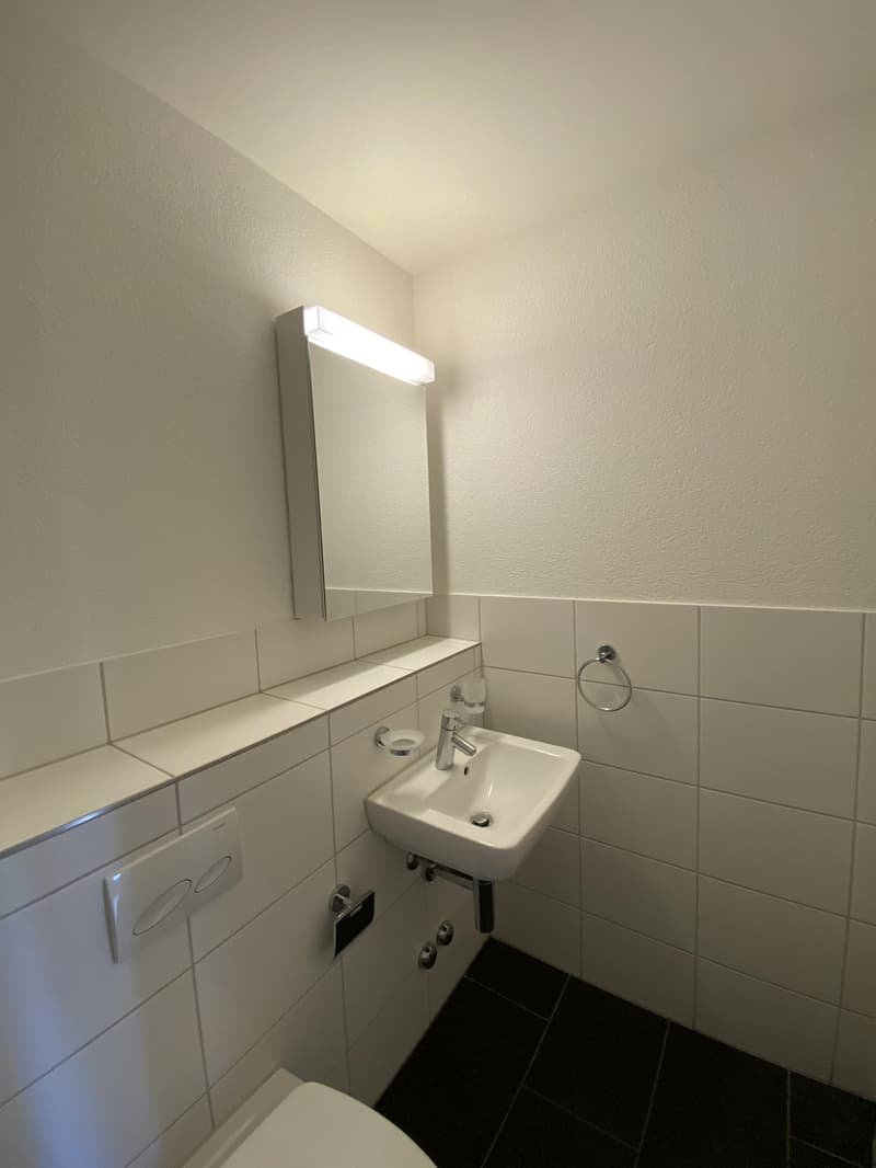 Charmante Single-Wohnung im Herzen von Zürich Kreis 4 Perfekt für Stadtliebhaber! (4)