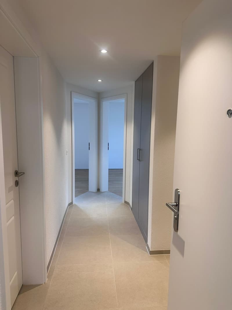 Sanierte 3.5-Zimmer-Wohnung in Dietikon zu vermieten! (1)
