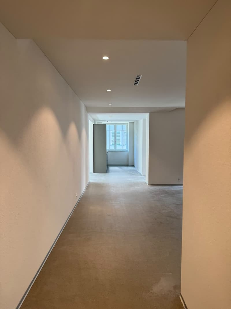 Grosszügiges Büro an zentraler Lage in Opfikon zu vermieten! (2)