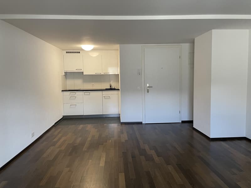 1 ½ Zimmer-Wohnung, 8330 Pfäffikon ZH (2)
