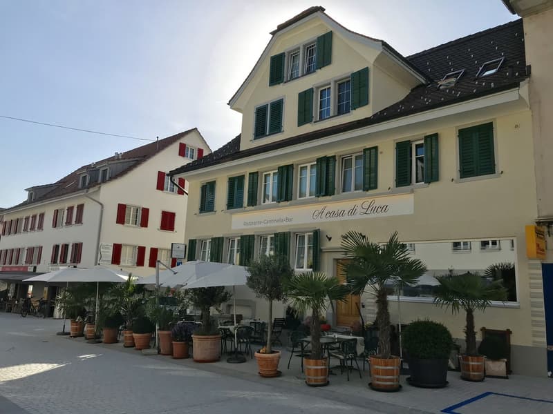 1 ½ Zimmer-Wohnung, 8330 Pfäffikon ZH (1)