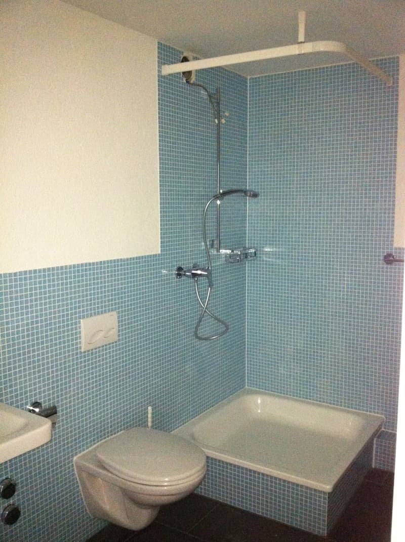 1 ½ Zimmer-Wohnung, 8330 Pfäffikon ZH (4)