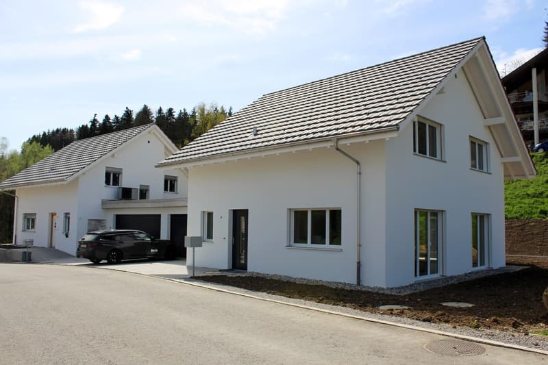 Neubau Einfamilienhaus am Öölbärg Haus D (1)