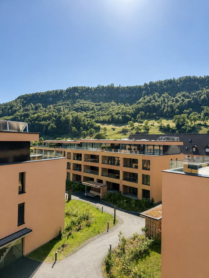 2 ½ Zimmer-Wohnung, 4663 Aarburg (1)