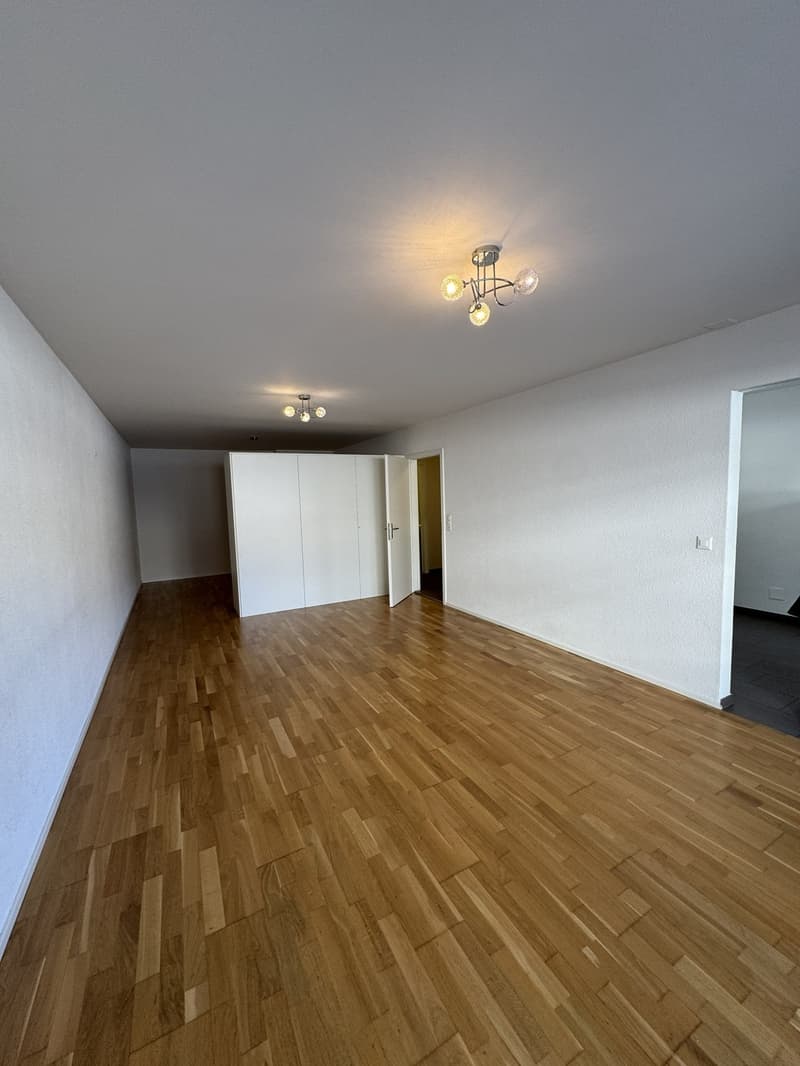 Zentral gelegene 2-Zimmer-Wohnung im Kreis 4 zu vermieten! (3)