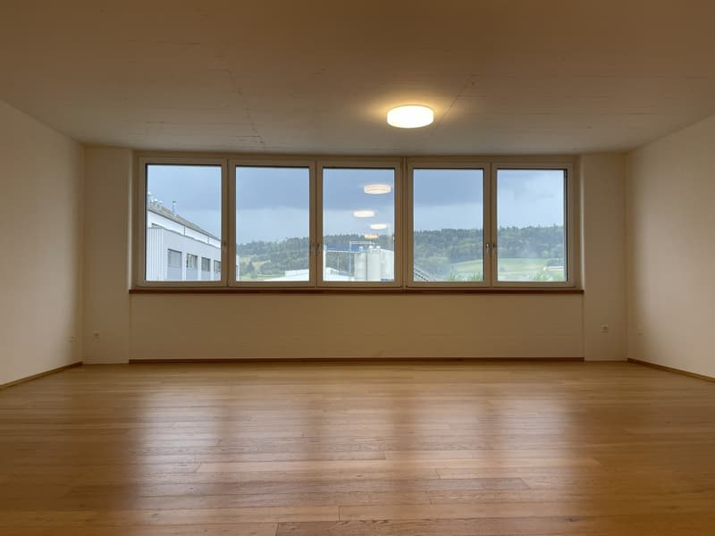 Gewerberaum in Regensdorf zentral & gut erreichbar (2)