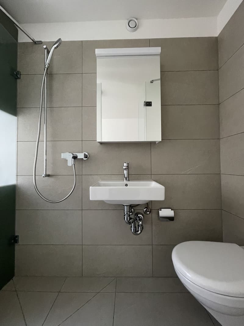 Moderne 1-Zimmer-Wohnung zentral in Zürich! (4)