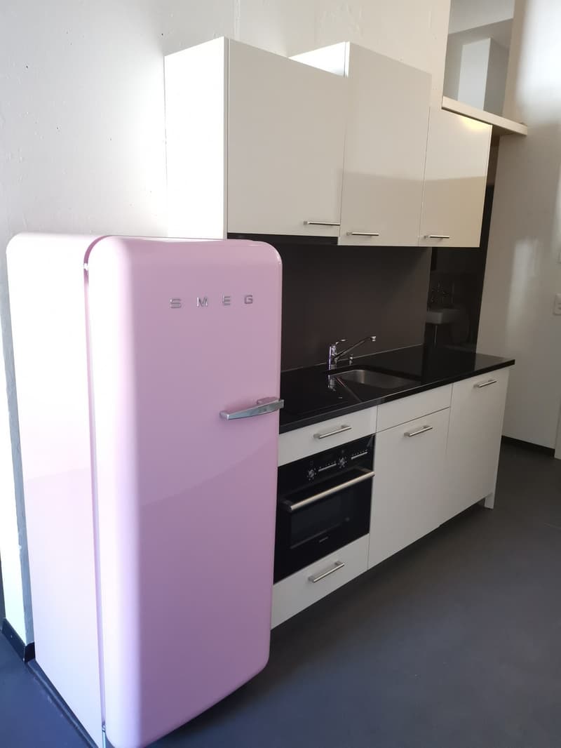 Moderne 1-Zimmer-Loftwohnung mit offenem Grundriss zentral in Winterthur (2)