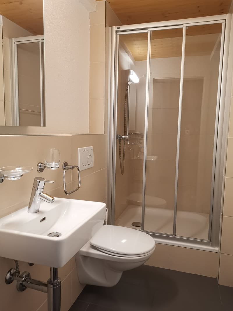 Moderne 1-Zimmer-Loftwohnung mit offenem Grundriss zentral in Winterthur (4)