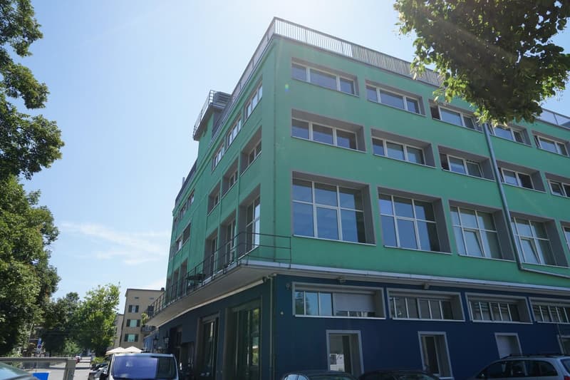Moderne 1-Zimmer-Loftwohnung mit offenem Grundriss zentral in Winterthur (1)