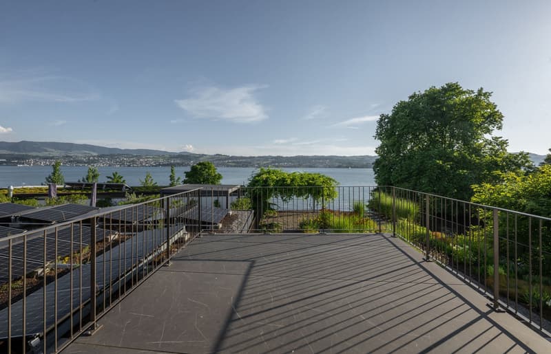 Wohntraum am Zürichsee - einzigartige Seelage (2)