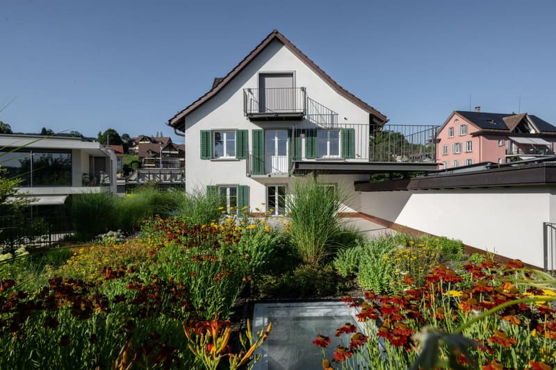 Wohntraum am Zürichsee - einzigartige Seelage (1)