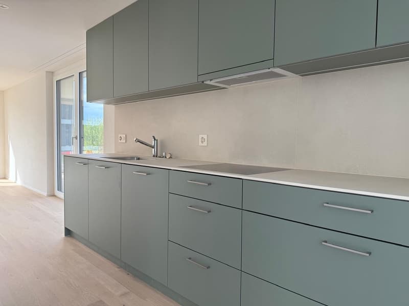 Neubau-Reihenhaus mit moderner 3.5-Zimmer-Maisonette-Wohnung! (2)