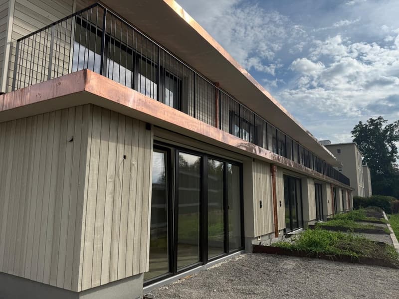 Neubau-Reihenhaus mit moderner 3.5-Zimmer-Maisonette-Wohnung! (1)