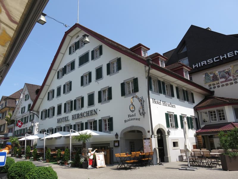 Möblierte 1-Zimmer-Wohnung an zentraler Lage in Küssnacht am Rigi! (1)