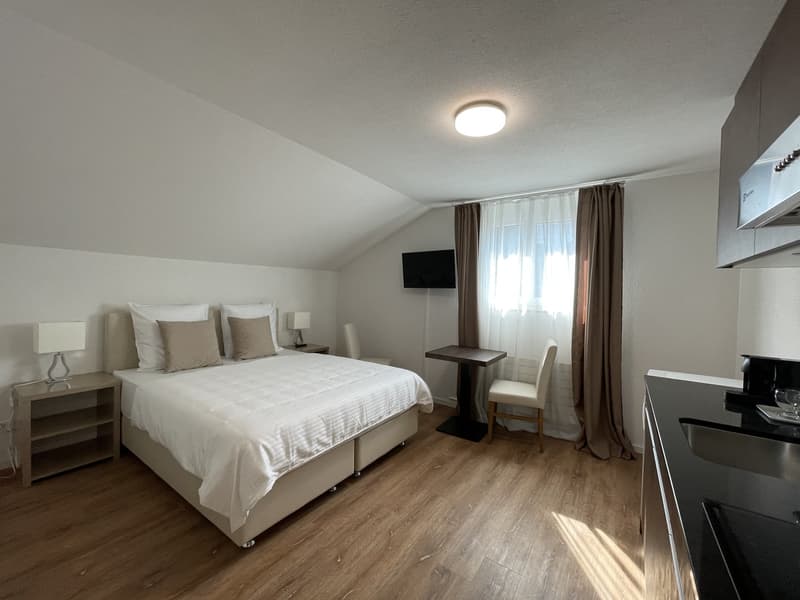 Möblierte 1-Zimmer-Wohnung an zentraler Lage in Küssnacht am Rigi! (3)