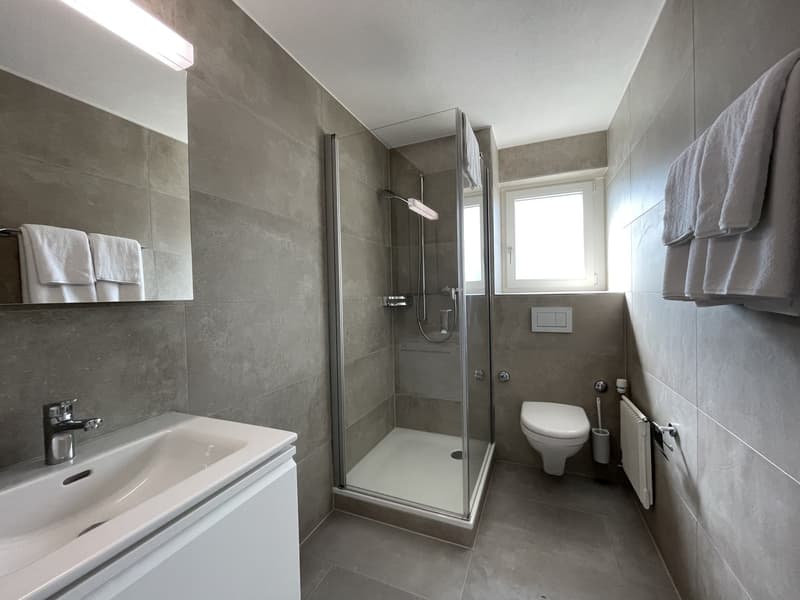 Möblierte 1-Zimmer-Wohnung an zentraler Lage in Küssnacht am Rigi! (4)