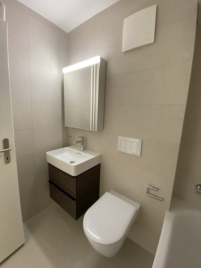 Moderne 2.5-Zimmer-Wohnung mit Balkon (6)