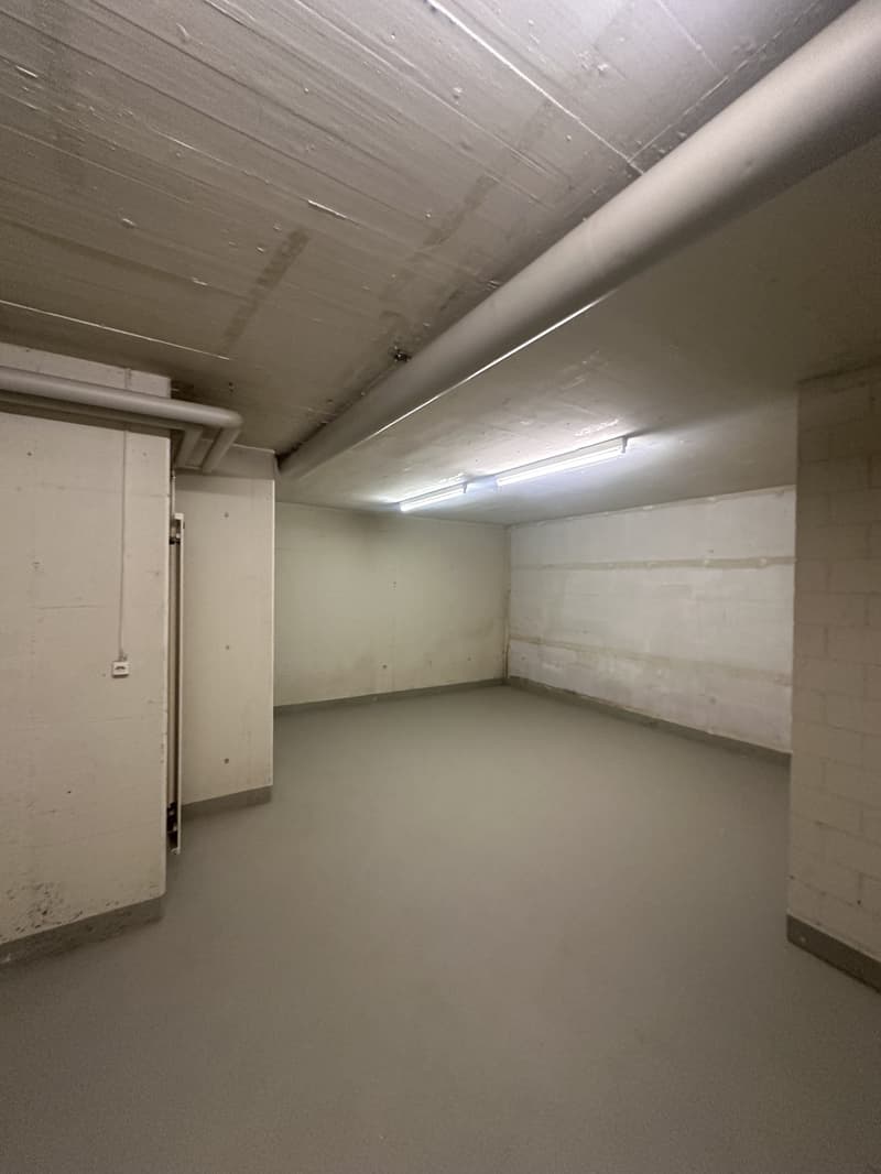 Lagerräumlichkeit in Dübendorf zu vermieten! (2)