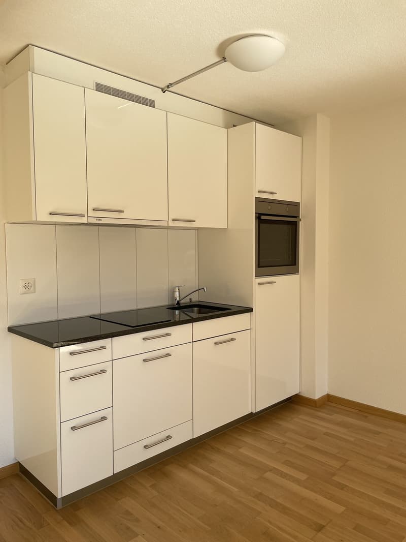 1-Zimmer-Wohnung an zentraler Lage im Kreis 4 (3)