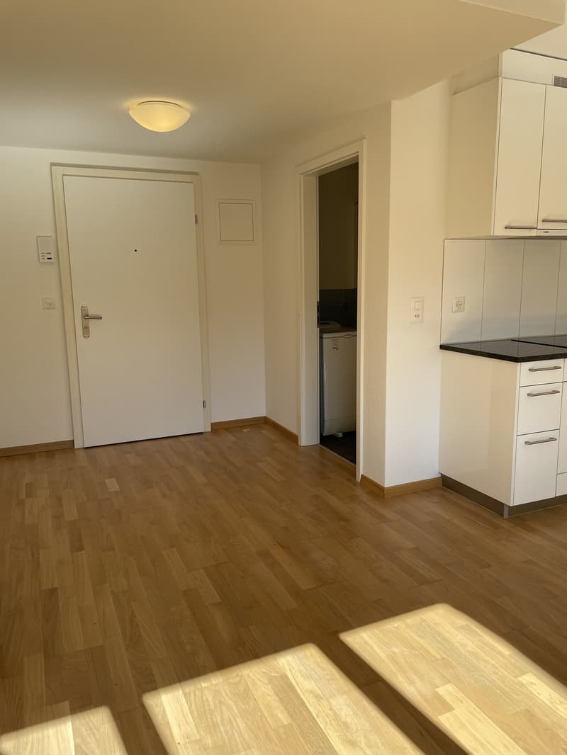 1-Zimmer-Wohnung an zentraler Lage im Kreis 4 (4)