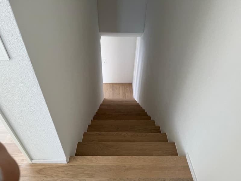 Neubau-Reihenhaus mit moderner 3.5-Zimmer-Maisonette-Wohnung! (5)