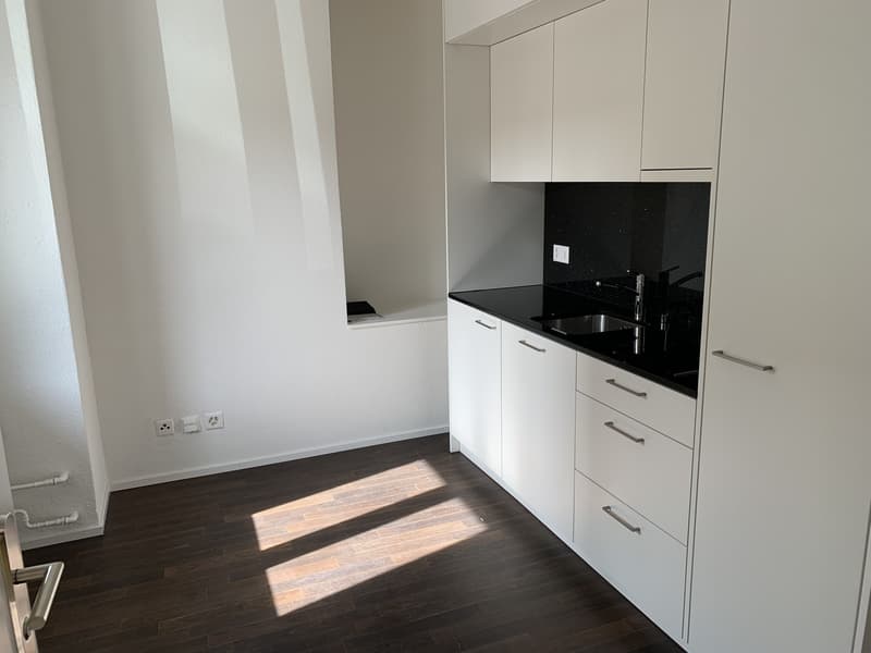 Kompakte 1-Zimmer-Wohnung an zentraler Lage in Zürich (2)